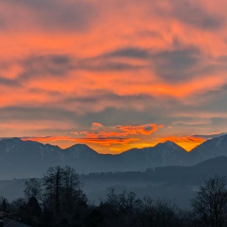 Am Eichholz Galerie & Art-Hotel Мурнау-ам-Штаффельзе Екстер'єр фото